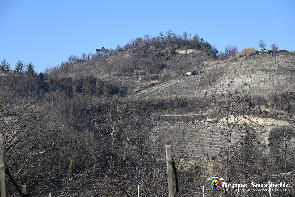 VBS_0815 - Corneliano d'Alba.jpg